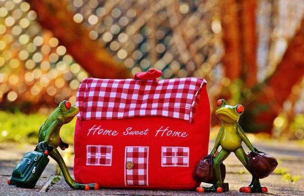 House, At Home, Arrive, Frog, Funny, Trolley, Fabric