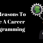 Top 5 Reasons To Pursue A Career In Programming