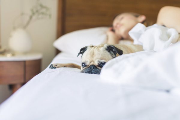 5 Ways to Improve the Quality of Your Sleep